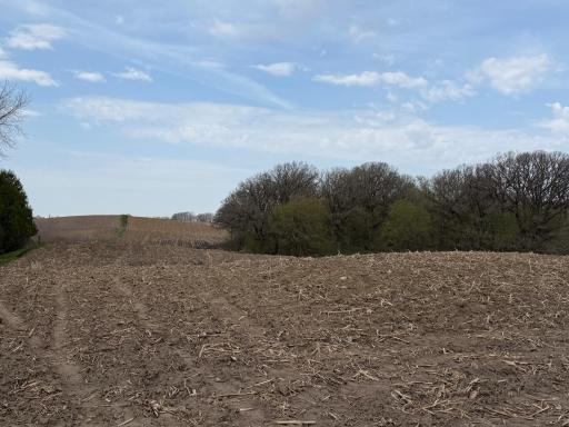 TBD 34th Avenue, Owatonna, MN 55060