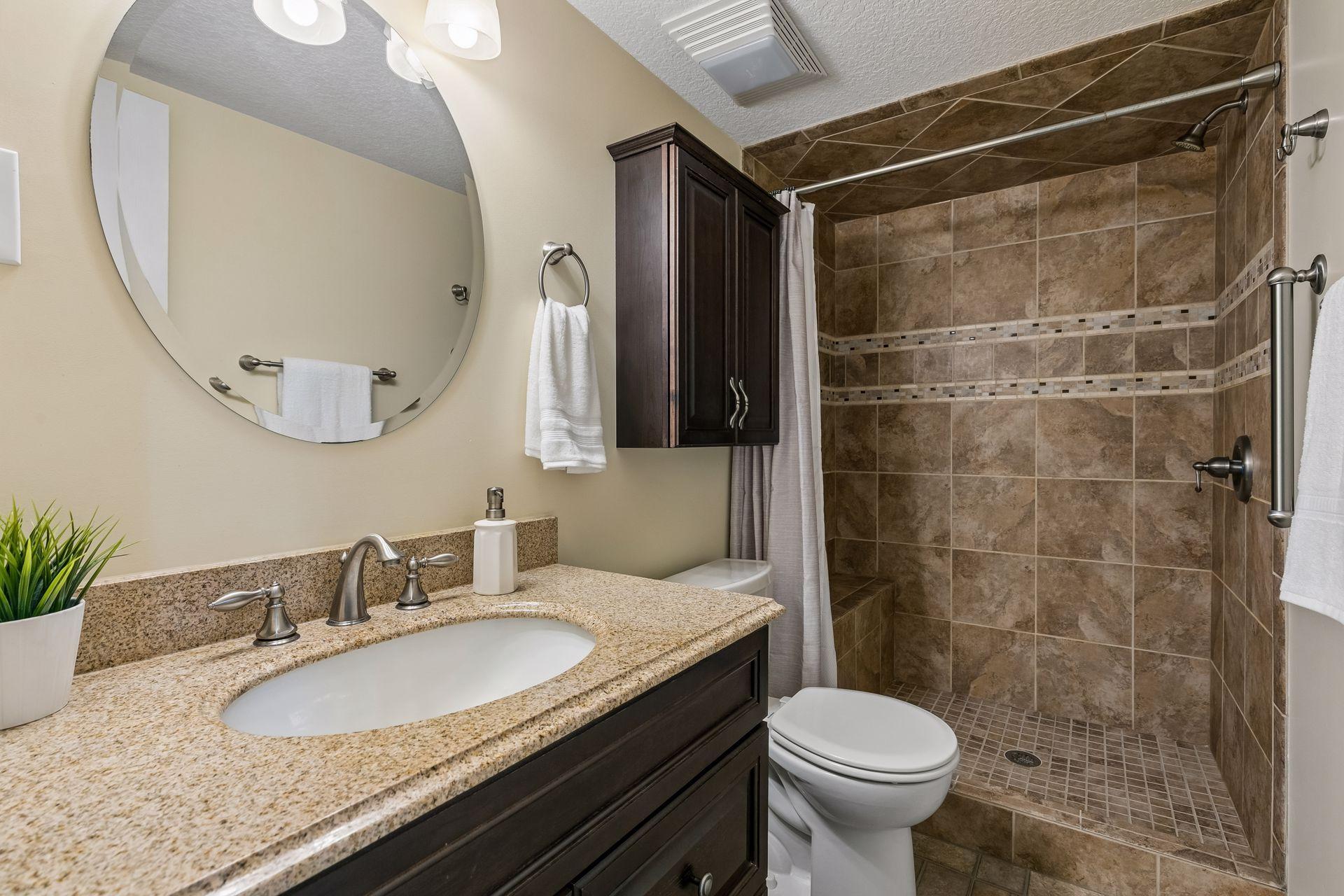 Lower Level Bathroom