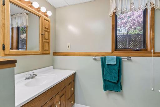 707 Hamline Avenue S, Saint Paul, MN 55116