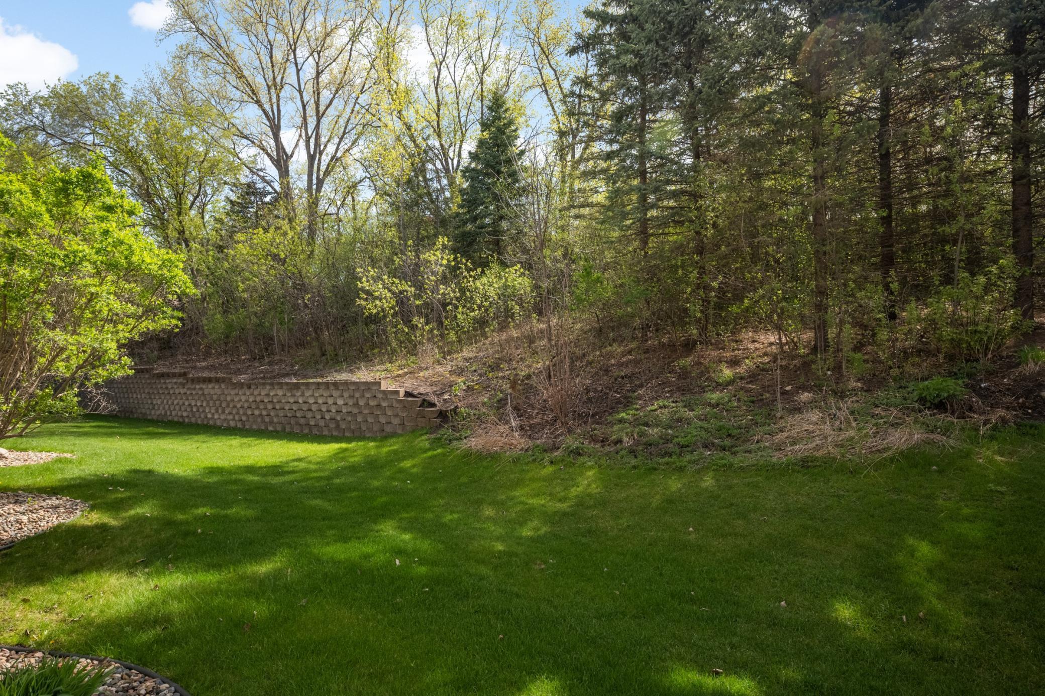 Image-24.jpg
