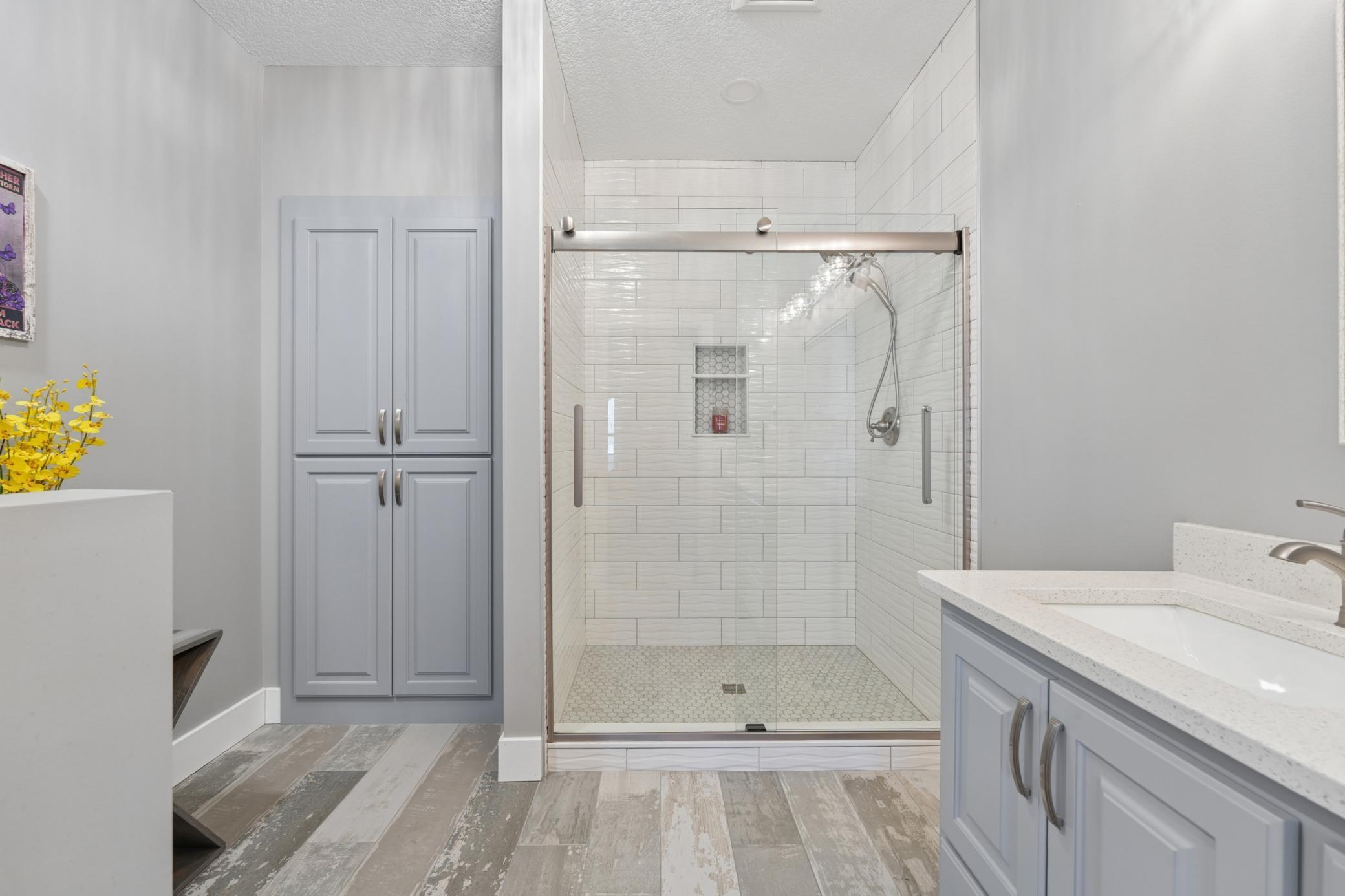 Lower level bathroom