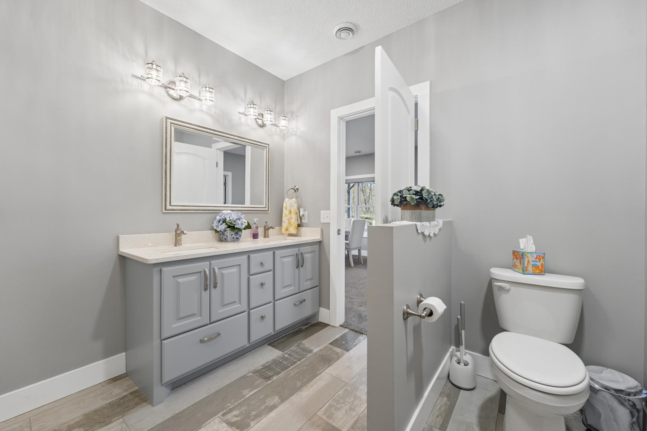 Lower level bathroom pic 3