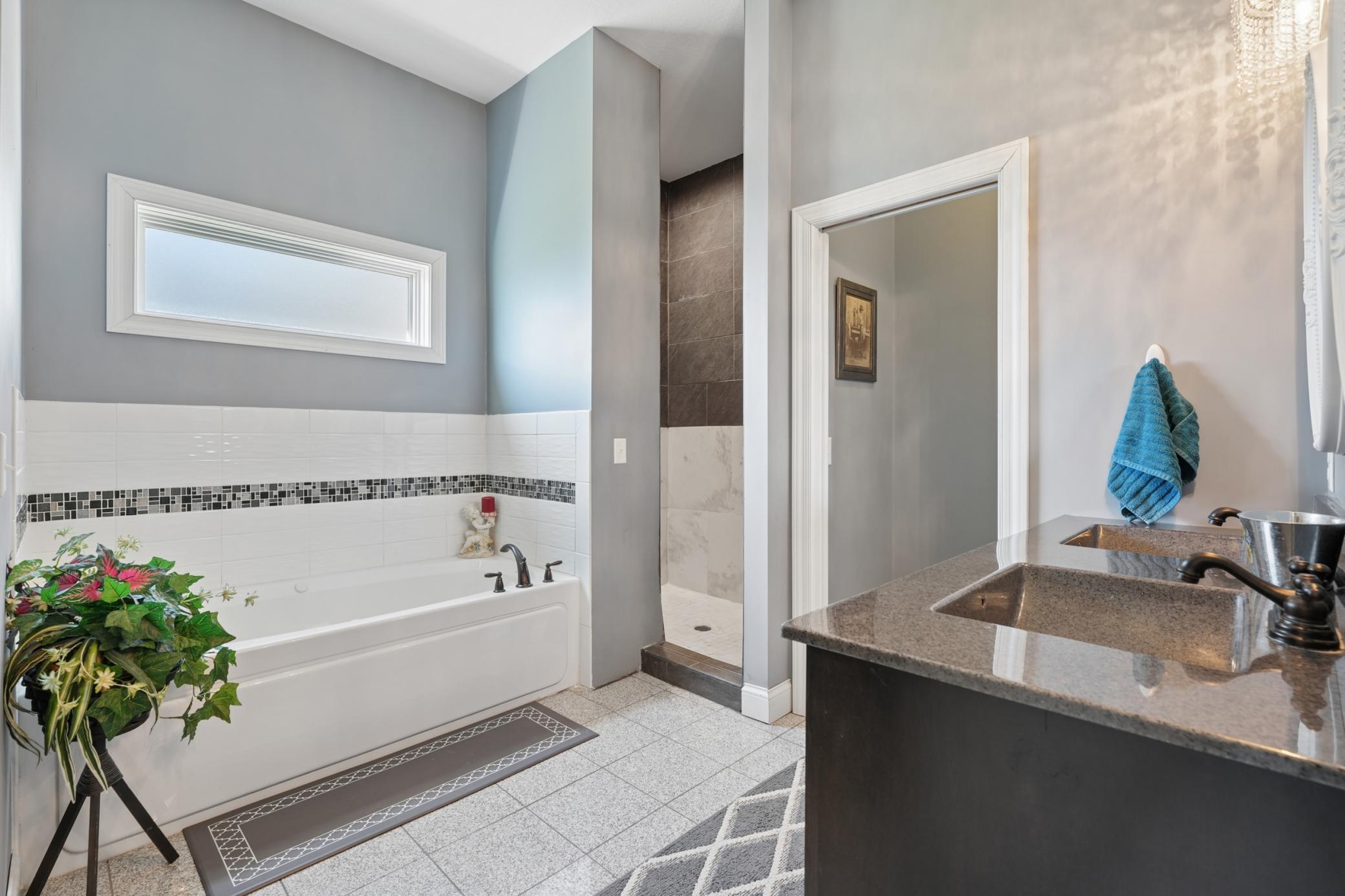 Primary bathroom pic 1