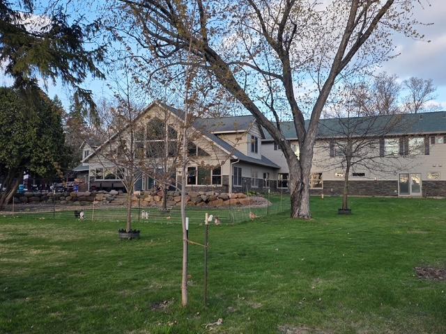 image13.jpeg