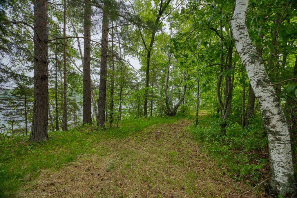 Walking trail