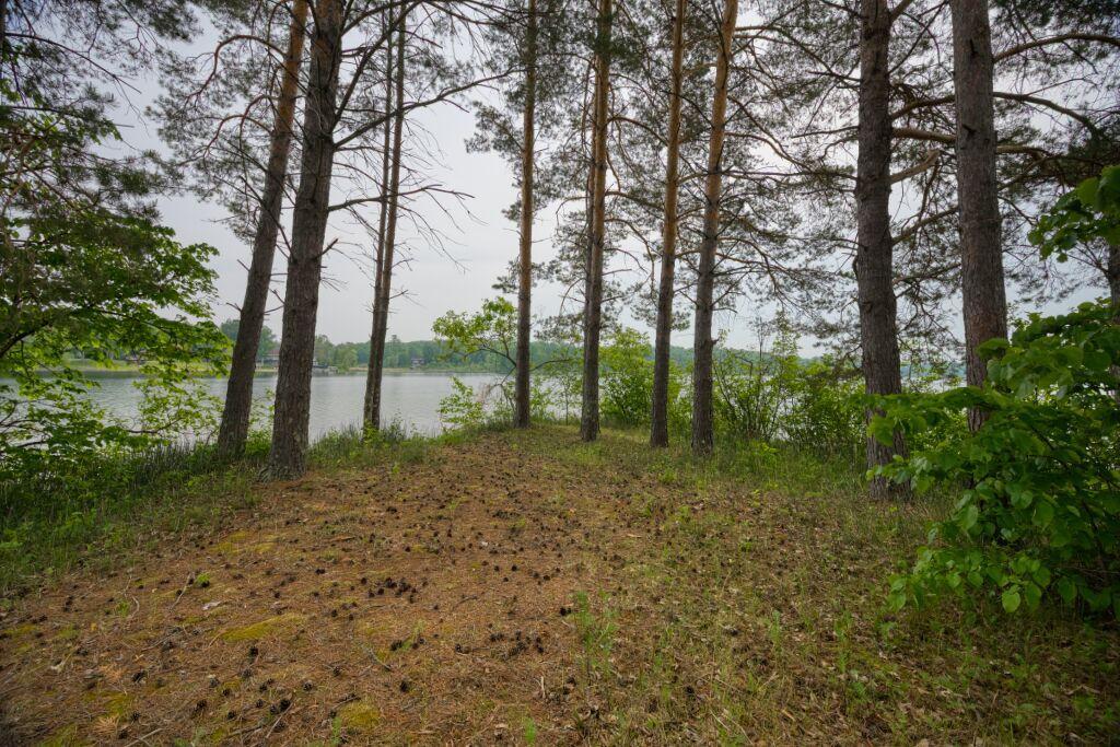 Walking trail