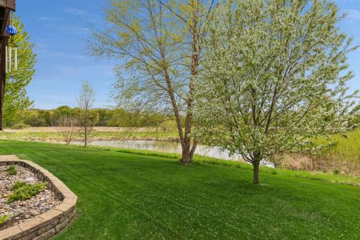 Lovely Pond and Marsh Views With No Houses Behind