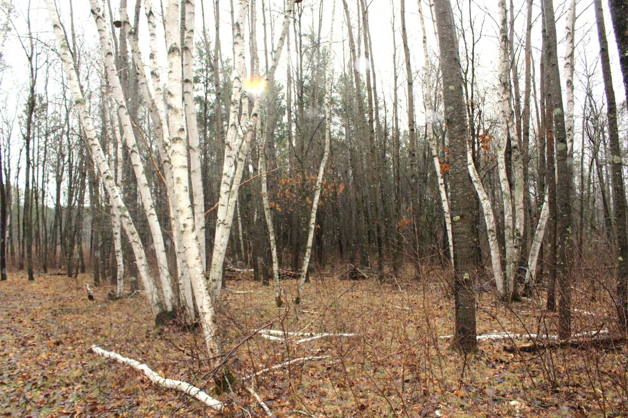 IMG_6429.JPG