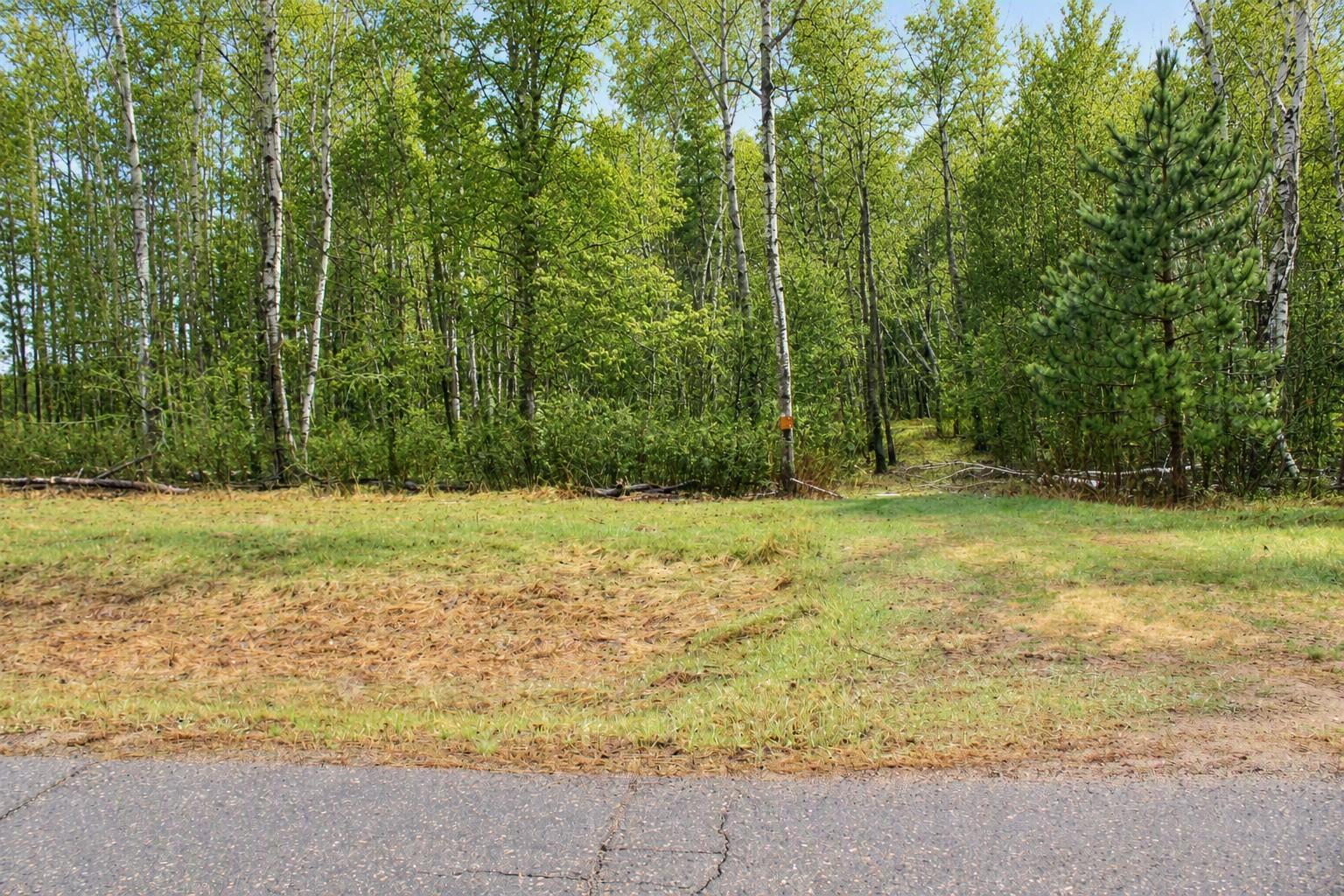 Property photo for TBD 470th Street, Staples, MN 56479