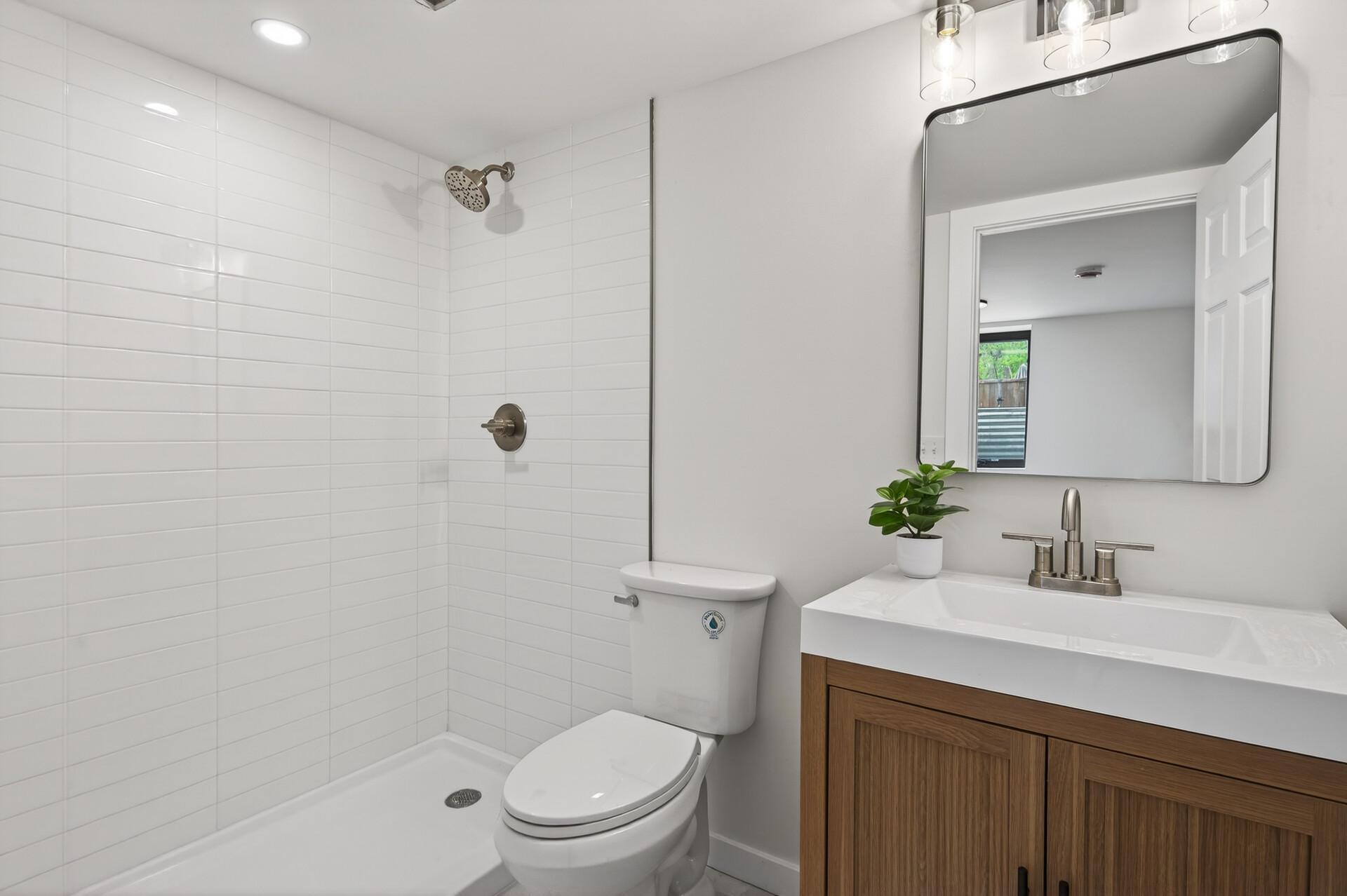 Lower level 3rd bathroom