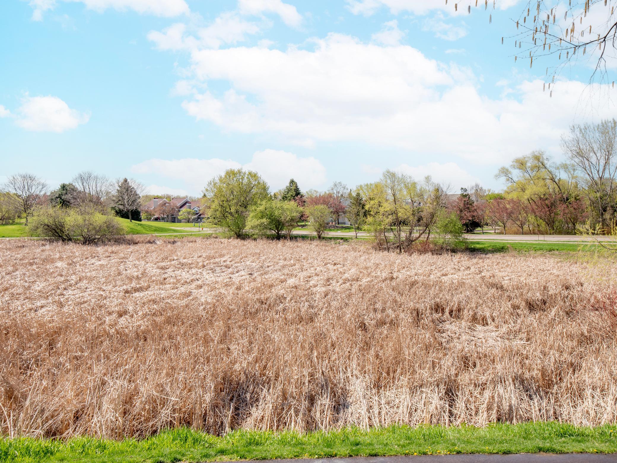 Wetlands just outside.