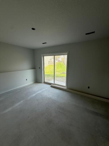 Large lower level family room walks out to back yard