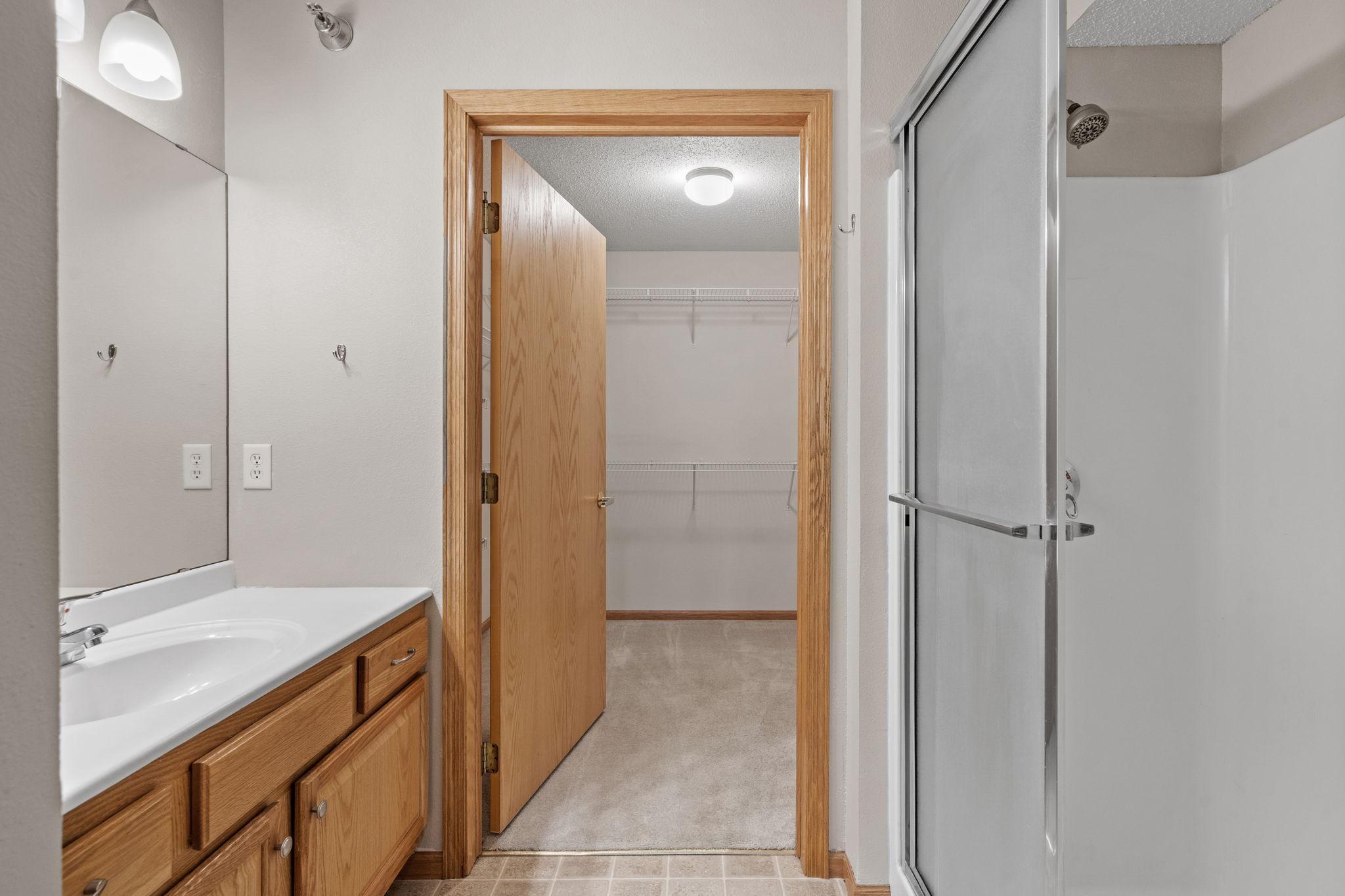 Primary Walk-in Closet, Sink, and Walk-in Shower