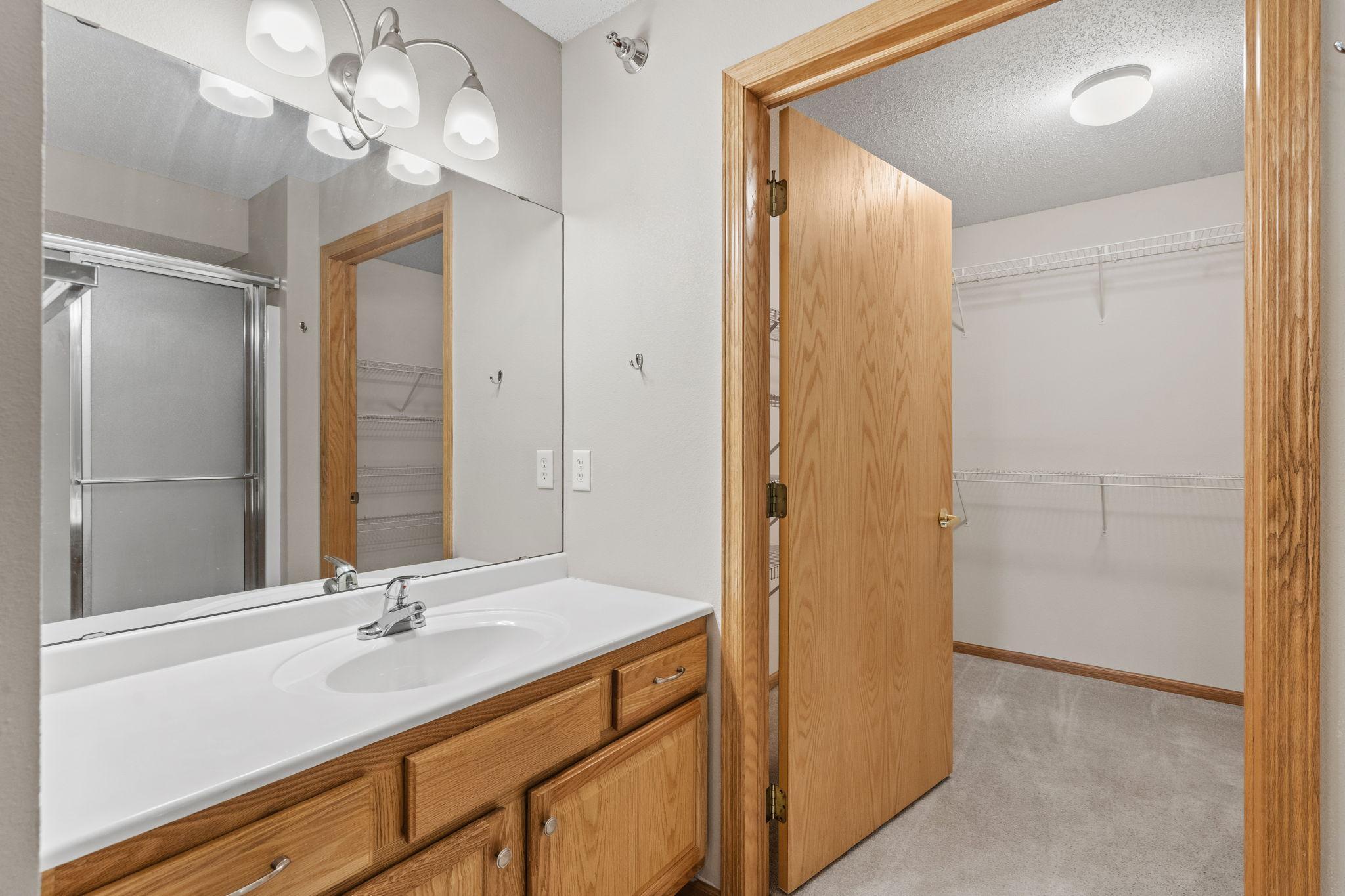Primary Sink and Walk-in Closet