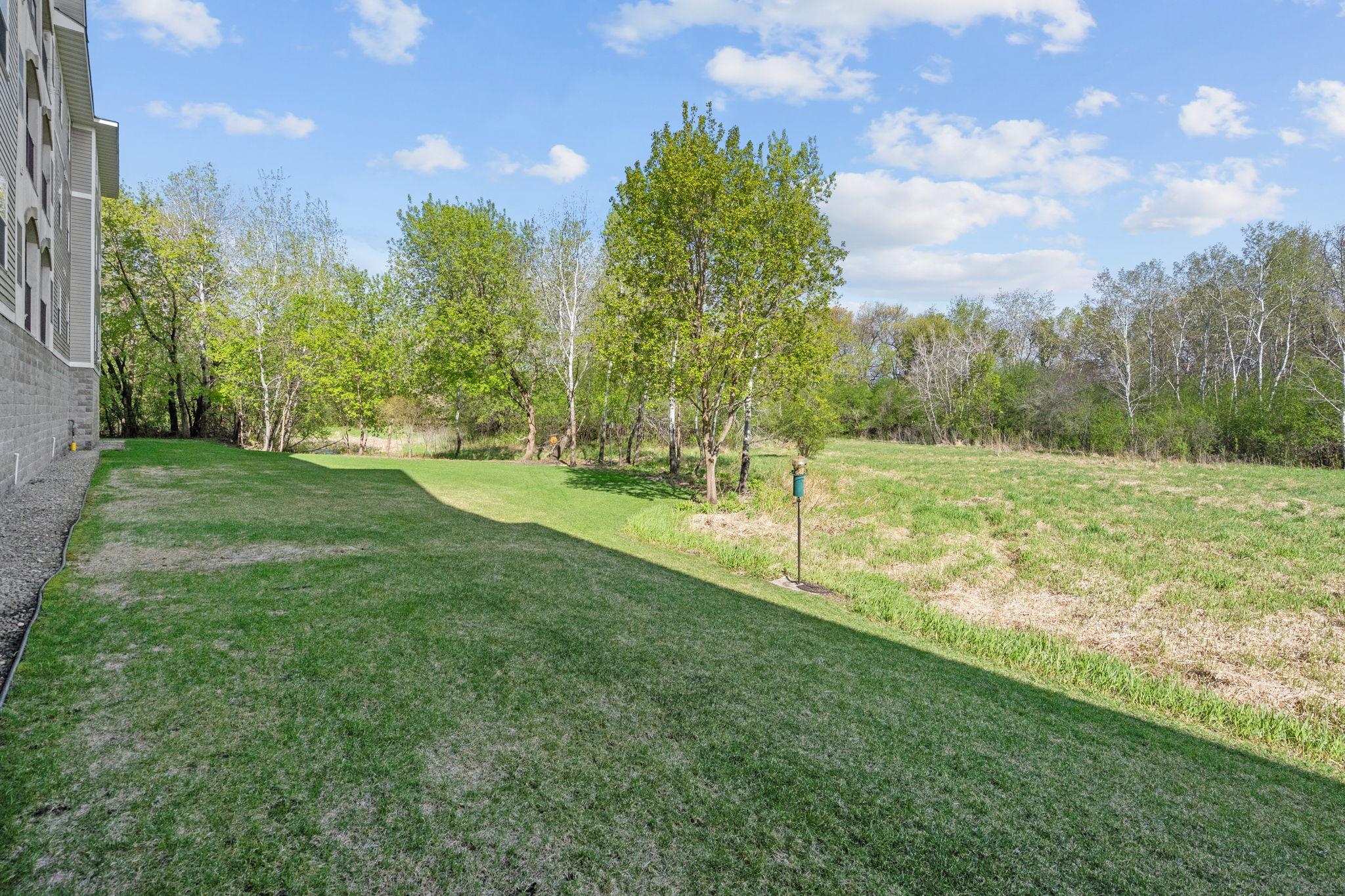 Back Wetlands/Nature Area