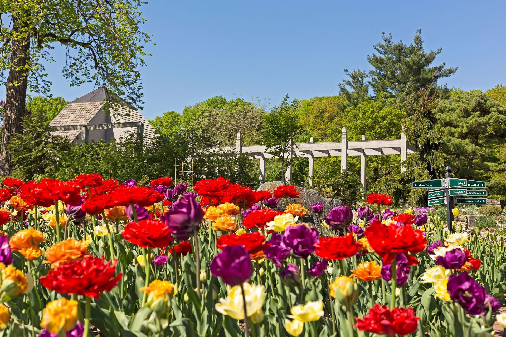 3861 Lone Cedar Lane - Spacecrafting - 0056.jpg