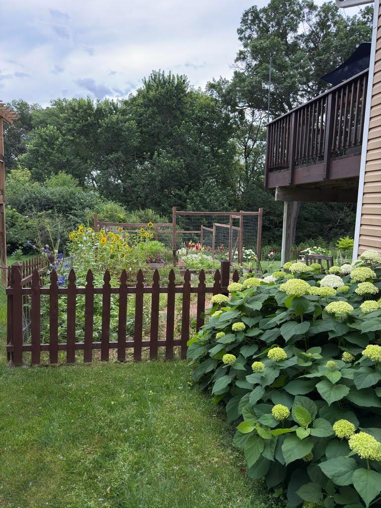 Summer Gardens 1.jpg