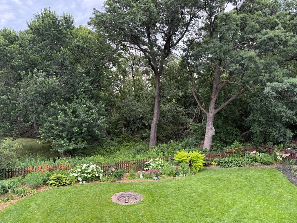 Backyard view Summertime.jpg