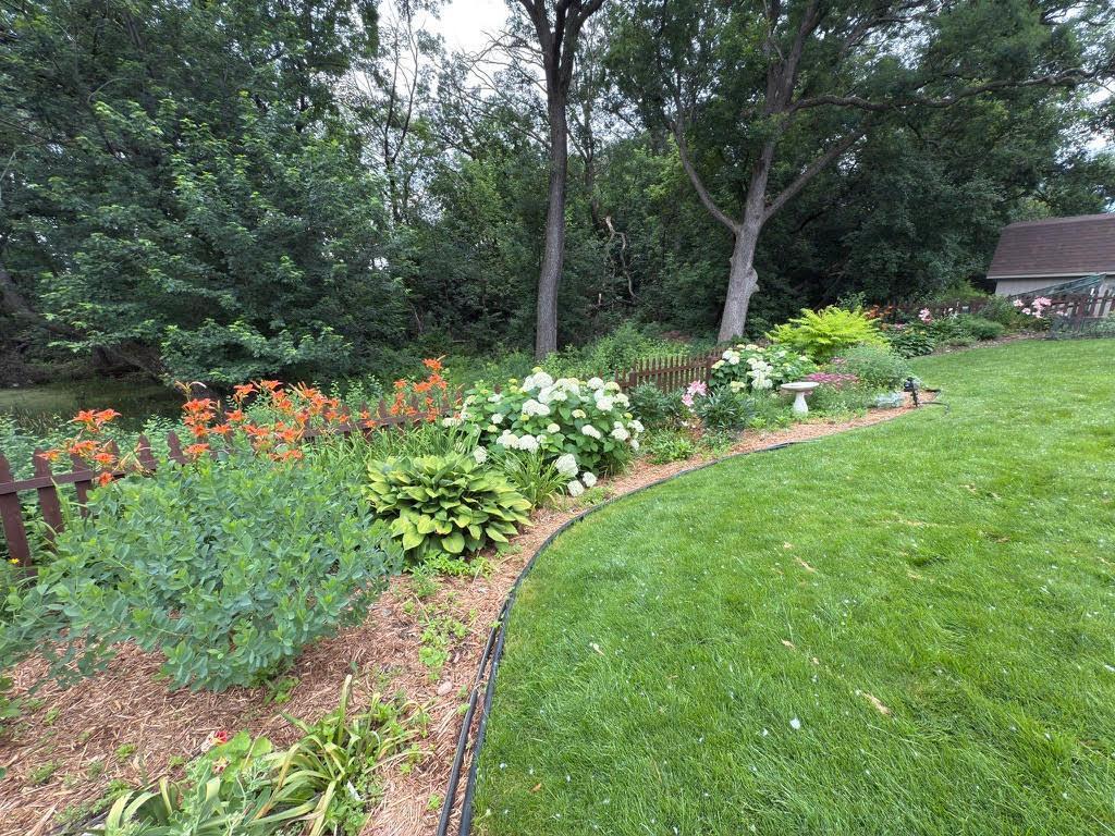 Summer Gardens 2.jpg