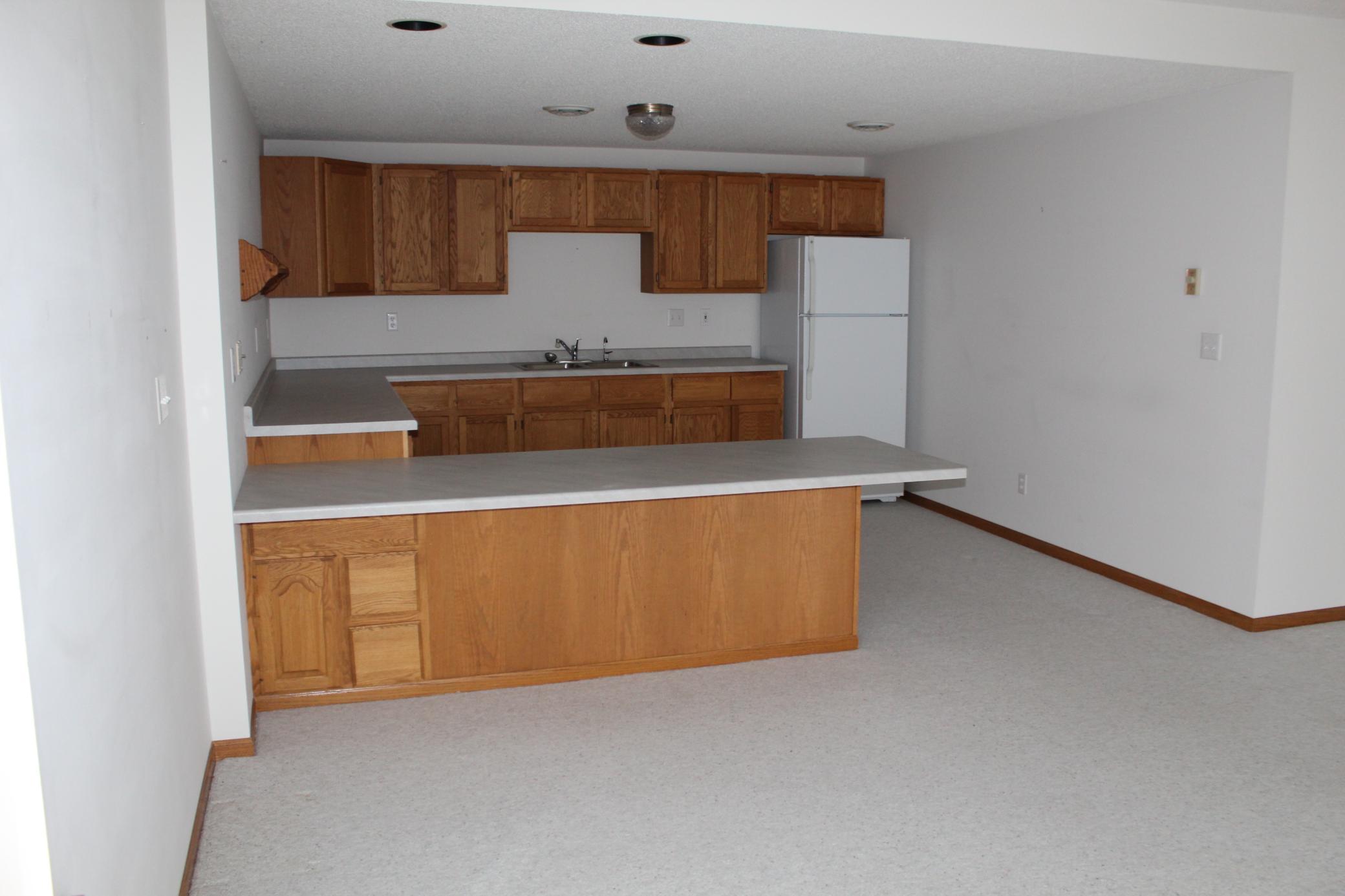lower family room kitchen/bar area