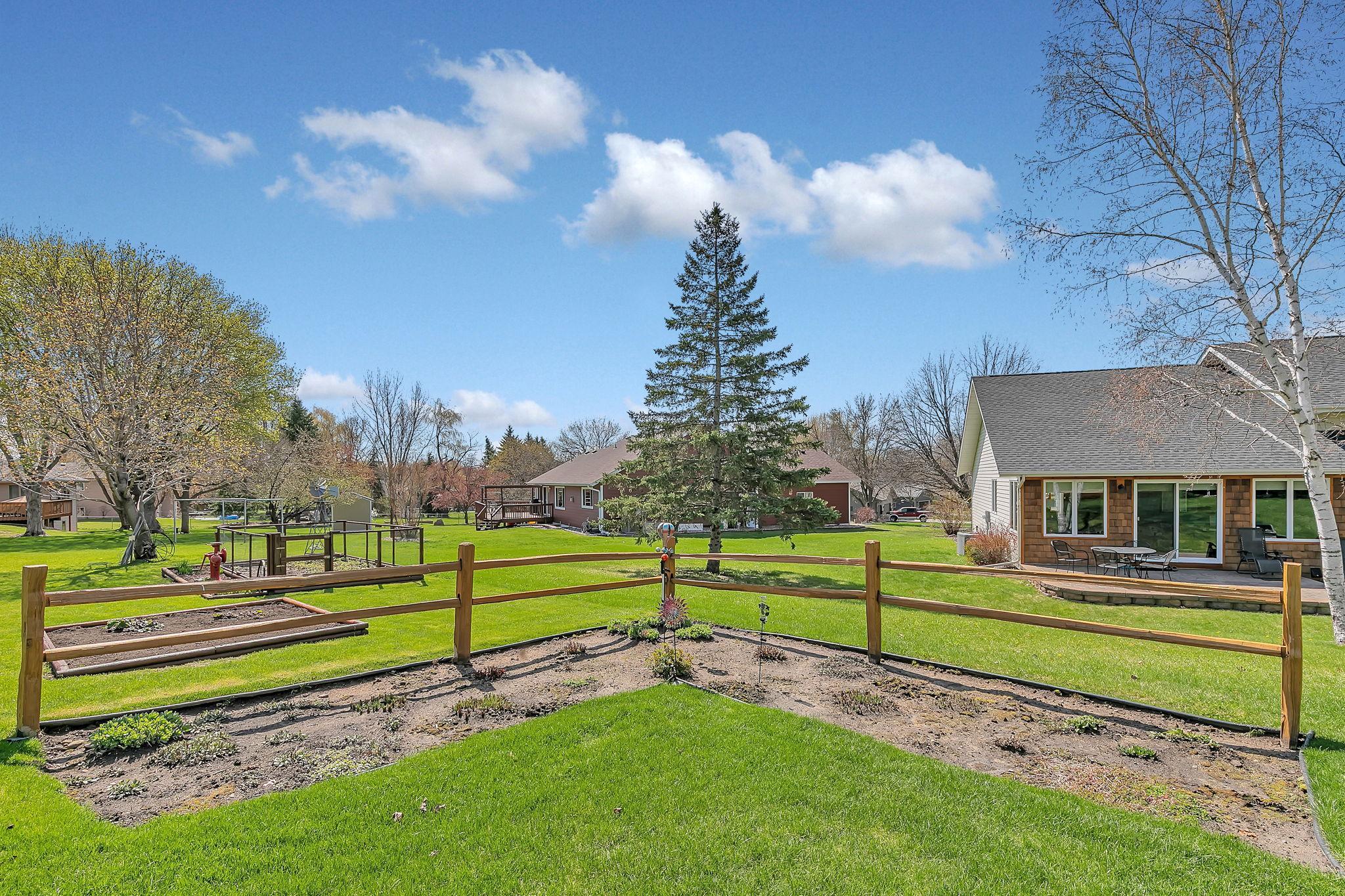 Back yard
