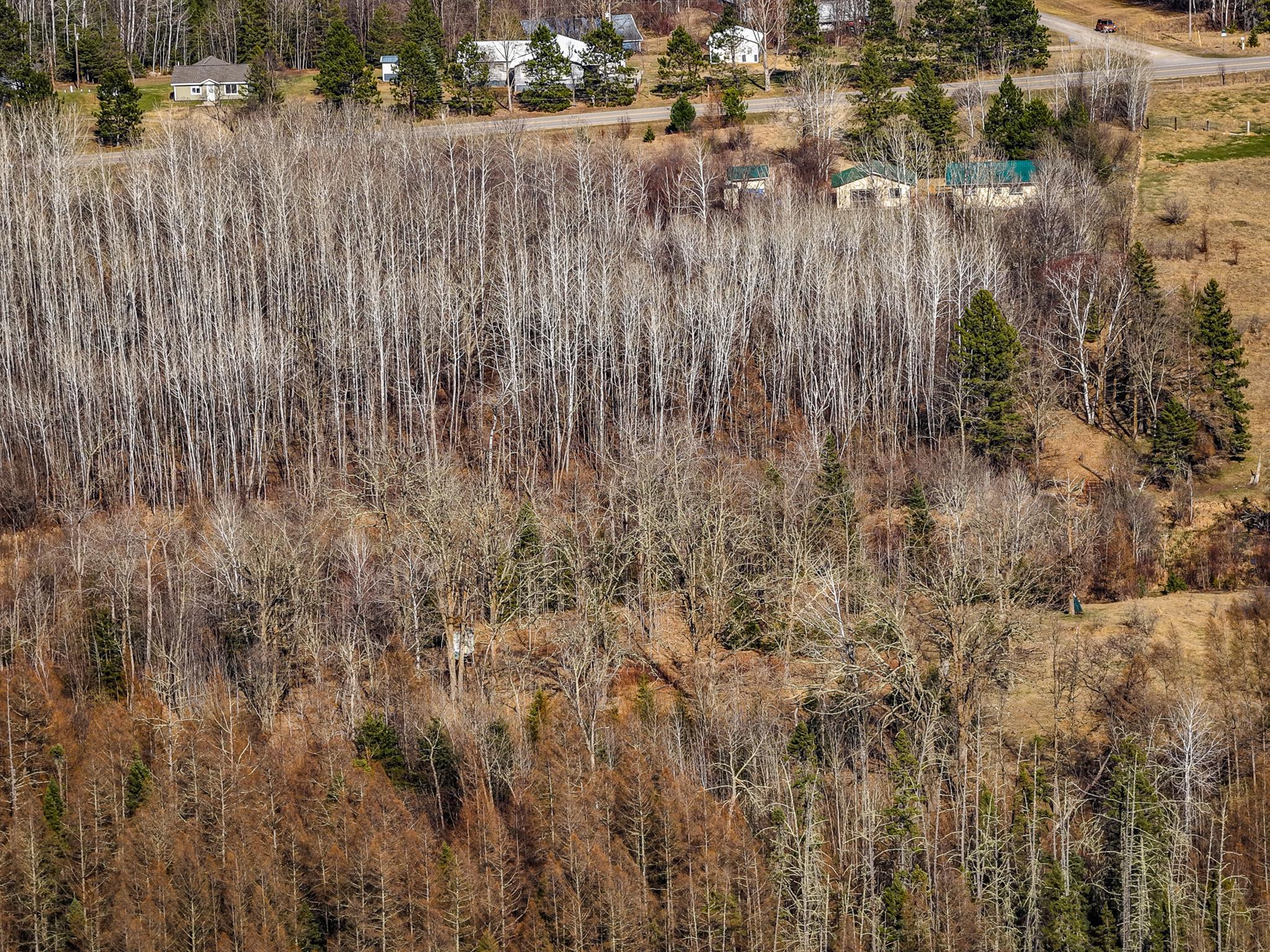 JL_39161_CO39-53.jpg