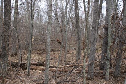 TBD St. Moritz Boulevard, Breezy Point, MN 56472