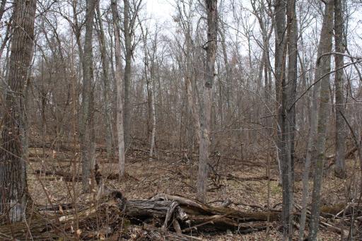 TBD St. Moritz Boulevard, Breezy Point, MN 56472