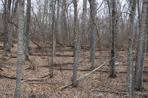 TBD St. Moritz Boulevard, Breezy Point, MN 56472