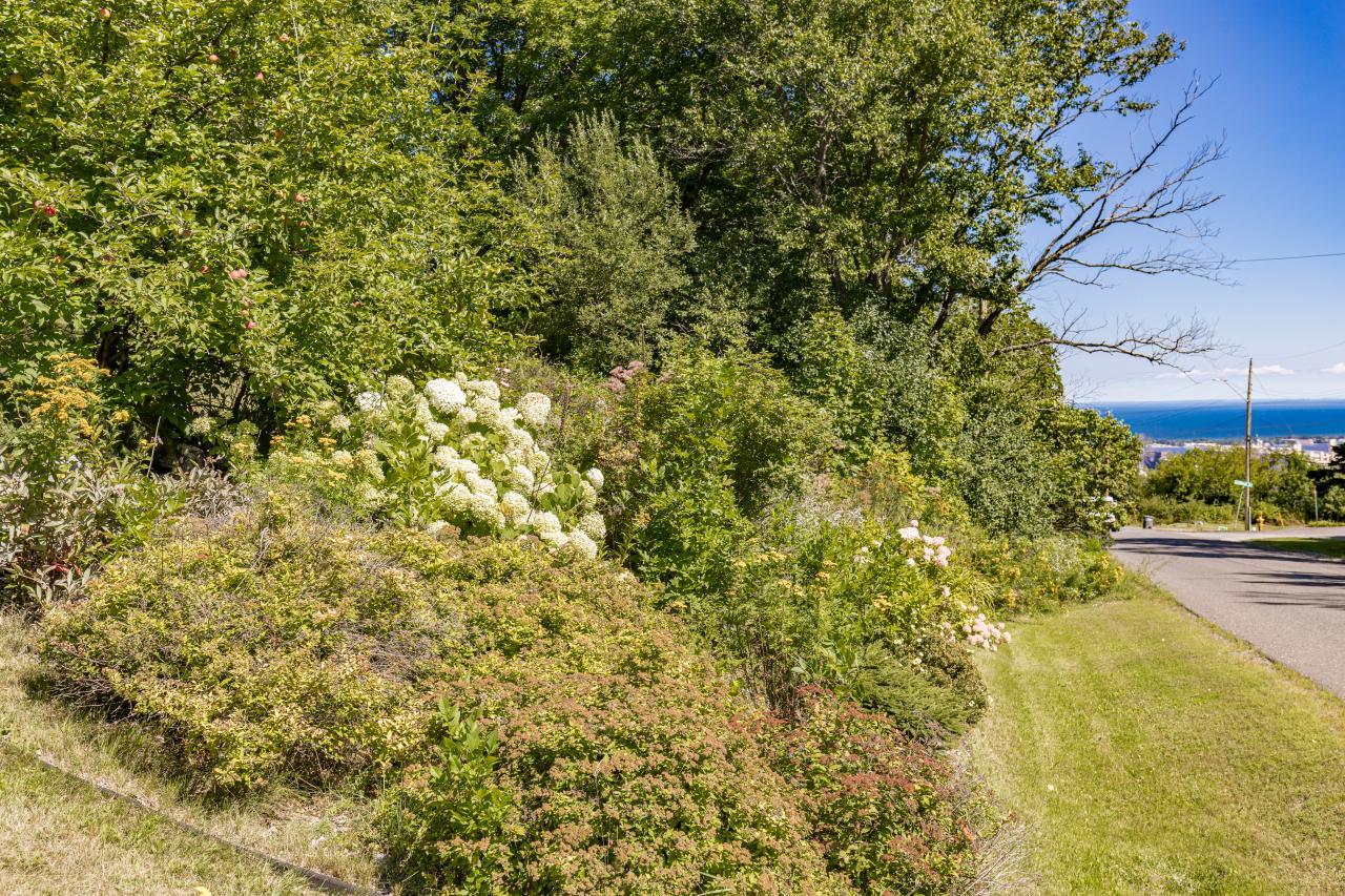 1905_Hutchinson_Road_013.jpg