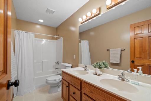 1393 Jefferson Street, Hastings, MN 55033