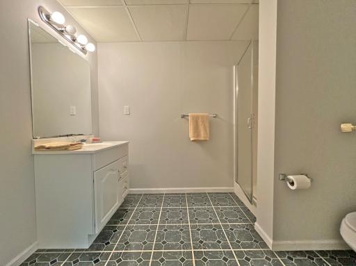 Lower level 3/4 bath