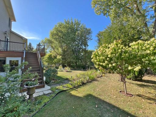 Backyard with tree in blossom