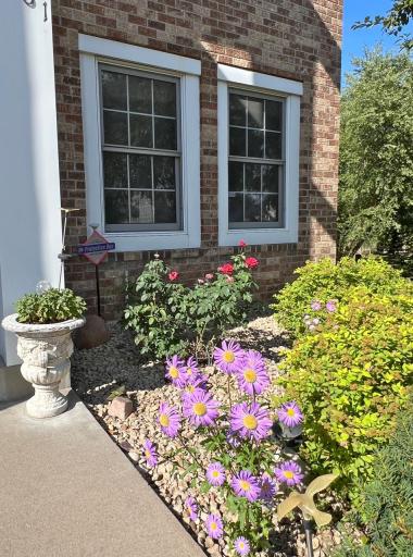 Flowers near front entry