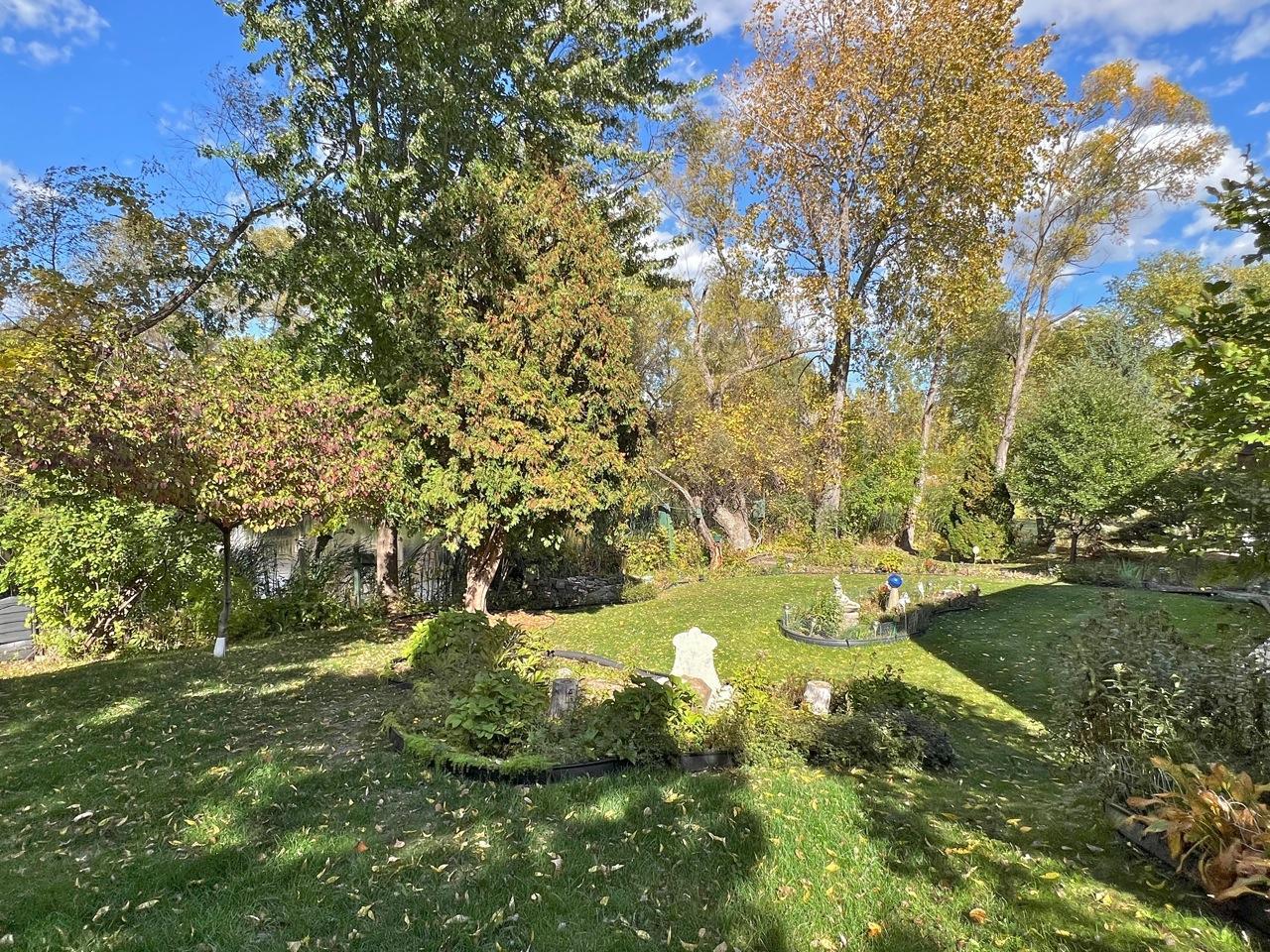 Backyard in early autumn