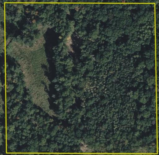 TBD Barrett Trail, Trego, WI 54888