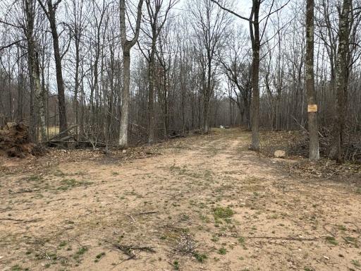 TBD Barrett Trail, Trego, WI 54888