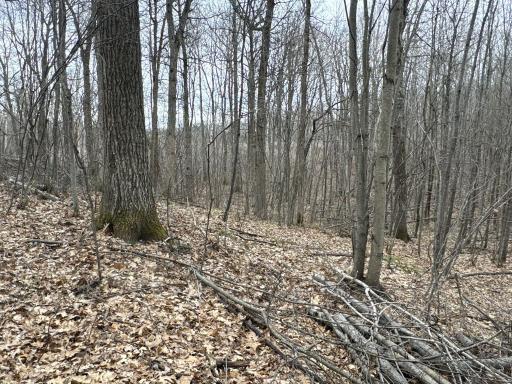 TBD Barrett Trail, Trego, WI 54888