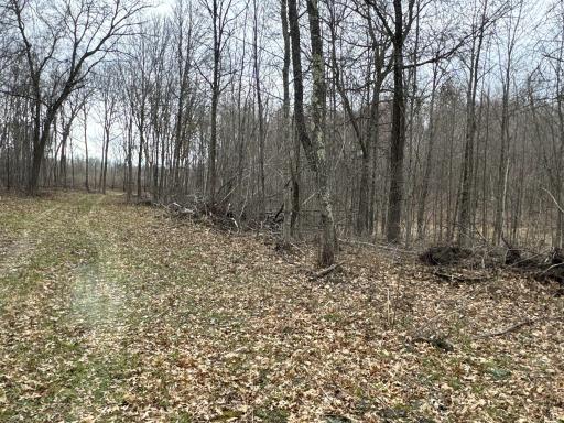 TBD Barrett Trail, Trego, WI 54888