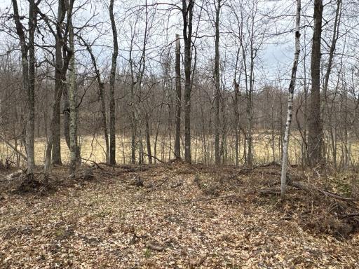 TBD Barrett Trail, Trego, WI 54888