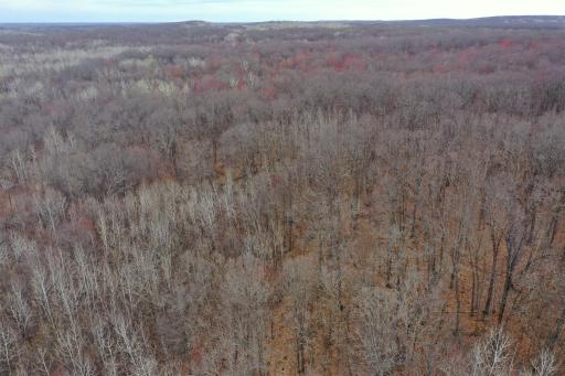 TBD Barrett Trail, Trego, WI 54888