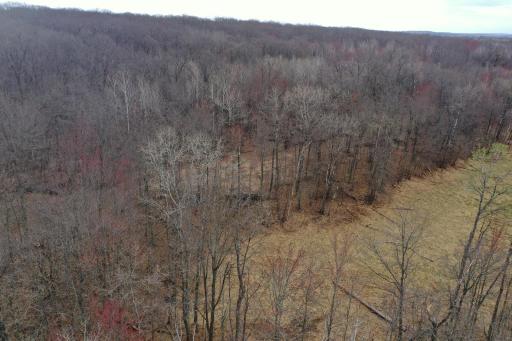 TBD Barrett Trail, Trego, WI 54888