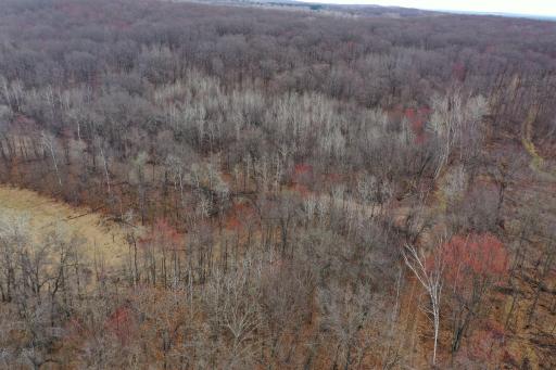 TBD Barrett Trail, Trego, WI 54888