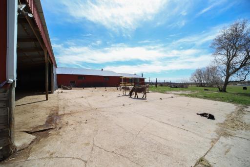 36879 207th Avenue, Clarissa, MN 56440