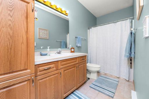 Full Bathroom, lots of storage space, tall linen cabinet