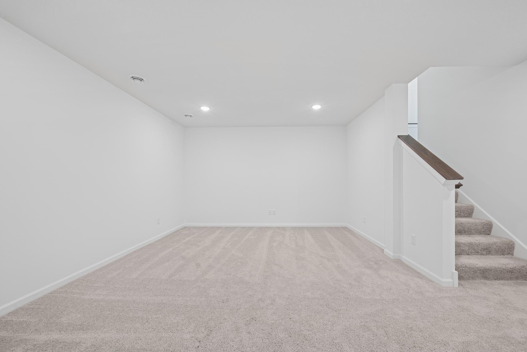 Fully finished basement