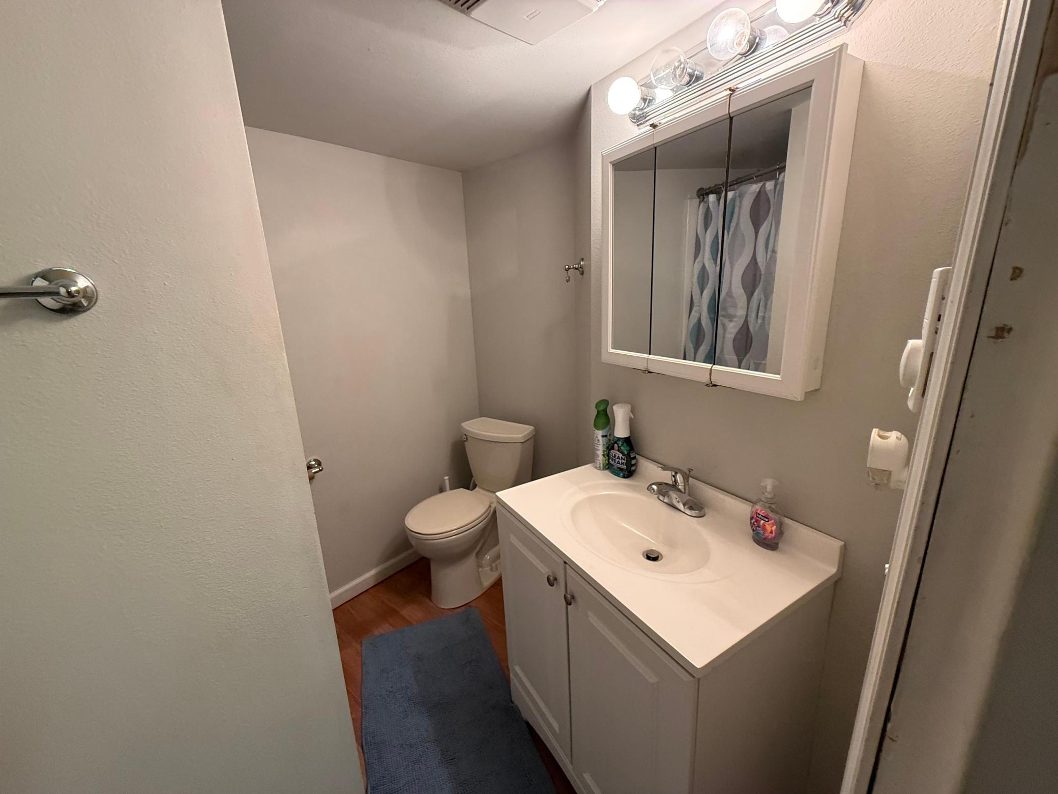 Basement bathroom