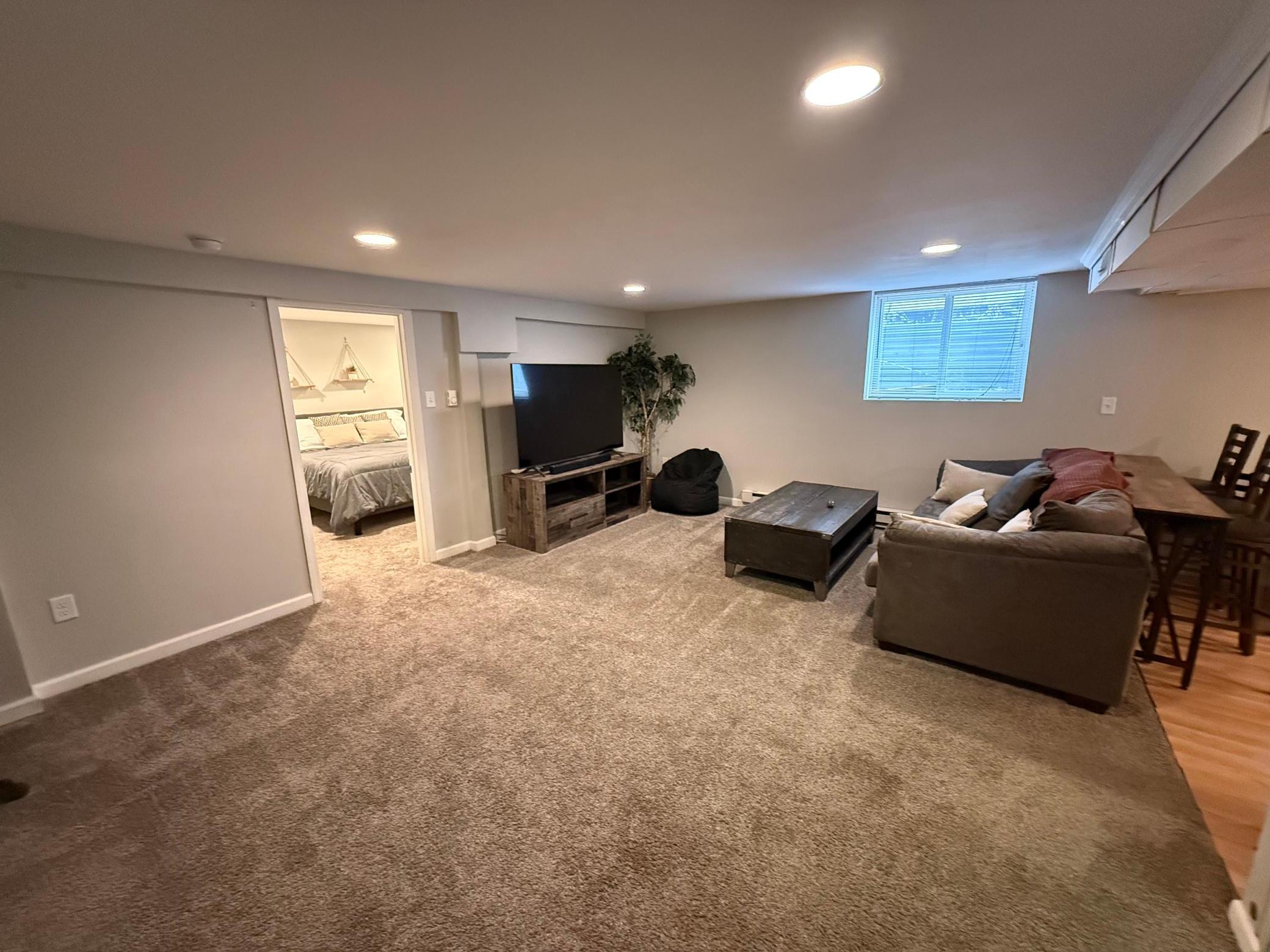 Family room basement