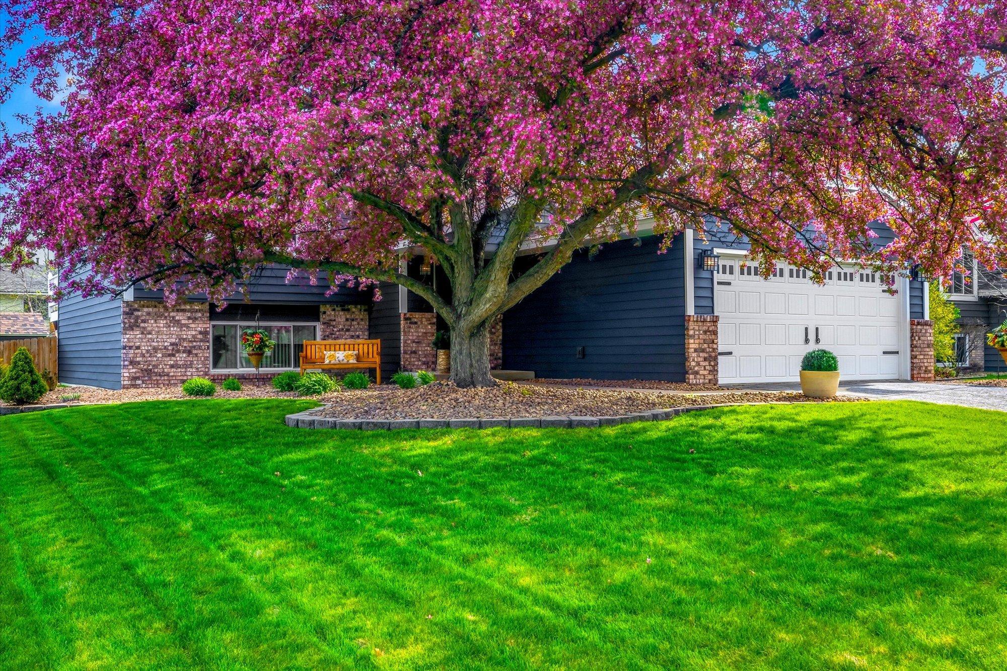 The mature flowering crab tree creates a breathtaking front yard setting and adds exceptional seasonal color to the property.