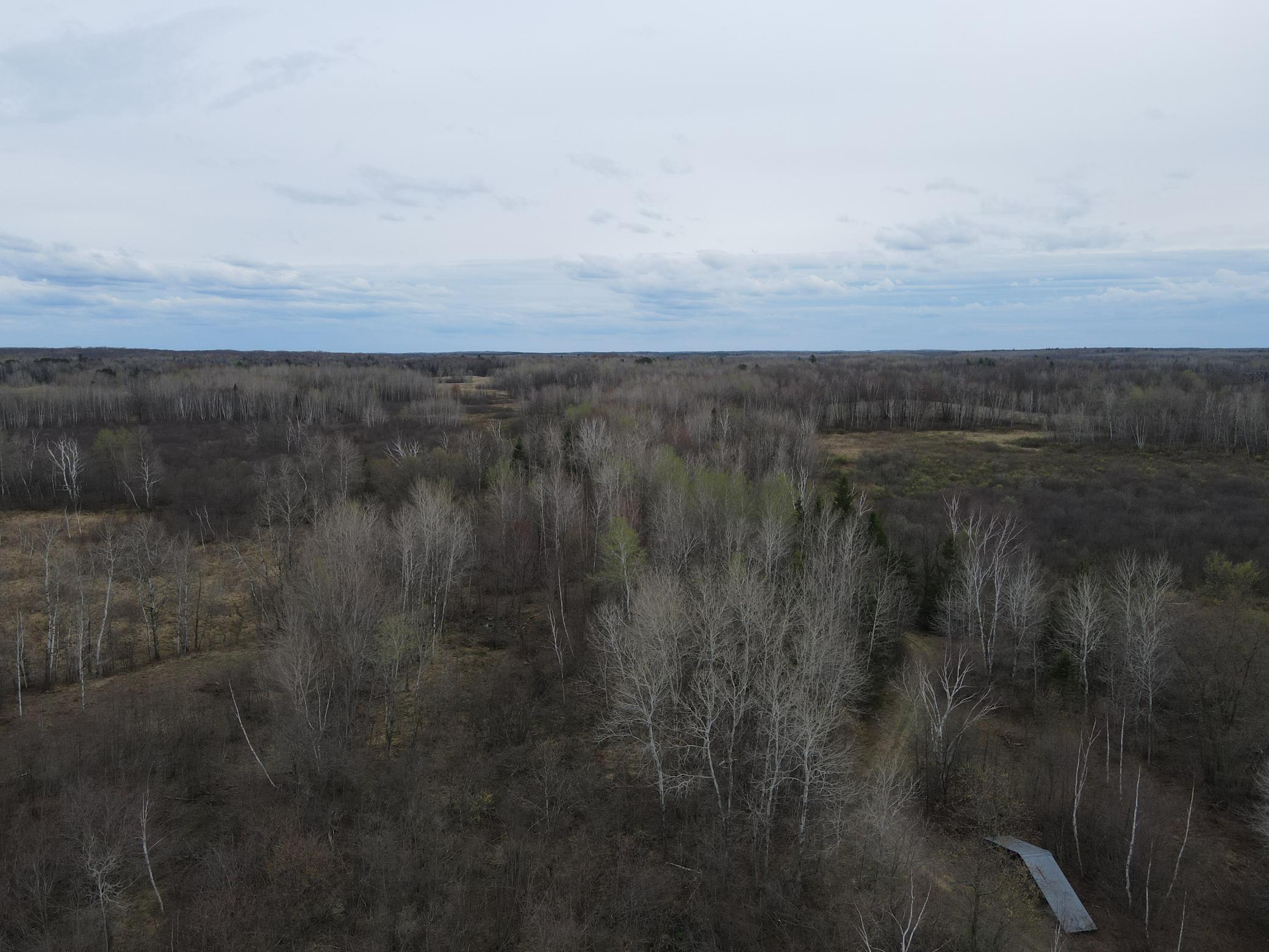 Wooded portion facing South